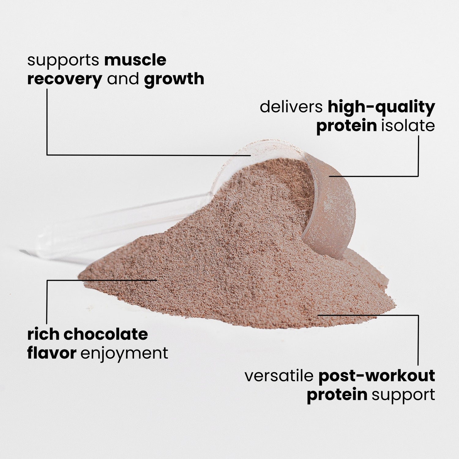 Advanced 100% Whey Protein Isolate (Chocolate)
