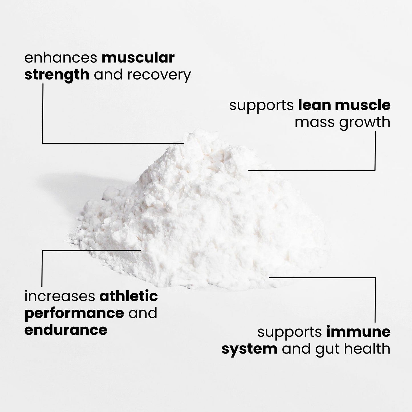 L-Glutamine Powder