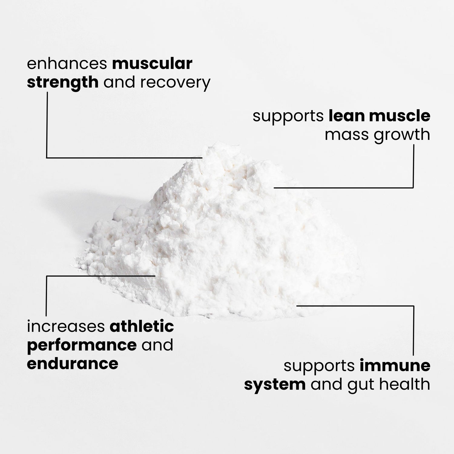 L-Glutamine Powder
